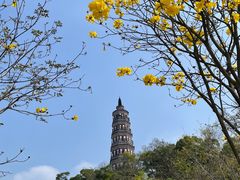 -顺峰山公园