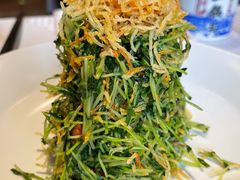 巧拌豆苗-四季民福烤鸭店(王府井灯市口店)
