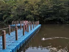 -广州锦绣香江度假别墅