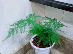 -一兆韦德健身(张杨路店)