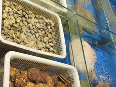 -老院子饭店·鲁菜·海鲜·家常菜
