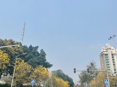 -洲头咀公园