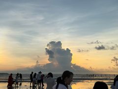 -红树林天天赶海