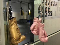 -FLARE STAR FITNESS(复地活力城店)
