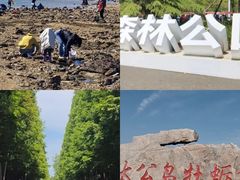 -日照灯塔风景区