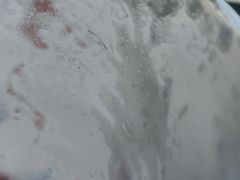 -Blueglass酸奶(财富购物中心店)