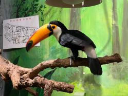 -Zoolung Zoolung动物主题公园(海信广场店)