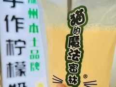 -猫的魔法密林(衣裳街店)