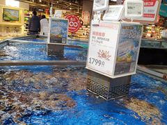 -盒马鲜生(莱蒙都会店)