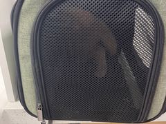 -纳吉亚猫专科动物诊疗中心(蒋宅口分院)