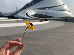 -哈尔滨大剧院