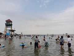 -碧海金沙