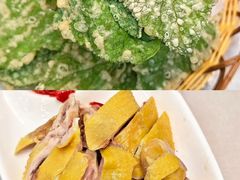 -紫藤园·天目湖大鱼头(南山竹海店)
