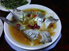 太湖白水鱼-元泰酒店