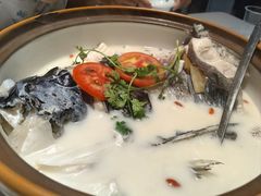 -全乐鱼馆·淳牌有机鱼直营店
