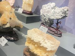 -湖南省地质博物馆