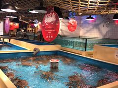 -日进一片海.生腌海鲜火锅.宵夜烧烤(三里屯总店)
