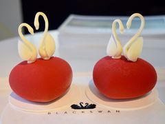 -BLACKSWAN黑天鹅(环球店)
