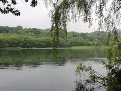 -茅家埠