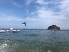 -棒棰岛宾馆景区