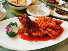 松鼠桂鱼-新聚丰菜馆(太监弄店)