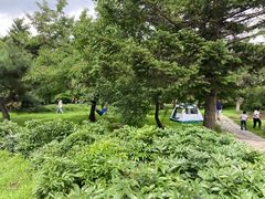 -长春公园(普阳街道)