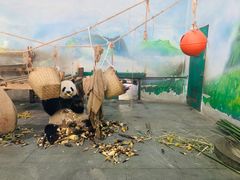 -无锡动物园·太湖欢乐园