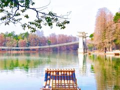 -东湖落雁景区
