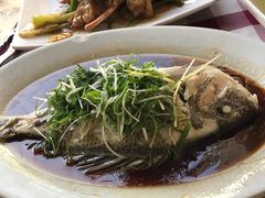 清蒸立鱼-雅憩花园餐厅