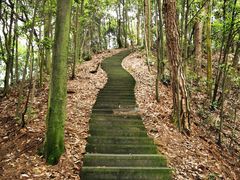 -缙云山景区