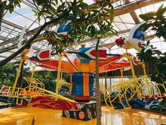 -南宫五洲植物乐园