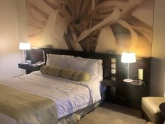 -国家会议中心大酒店