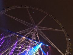 -锦江乐园舞狸花花游园会(夜场专享)