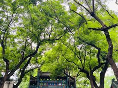 -北京国子监胡同
