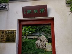 -紫荆山公园