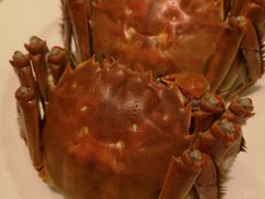 -王宝和酒家(黄浦店)