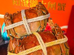 -阳澄湖大闸蟹·琼灵阁牌品牌连锁(吴中总店)
