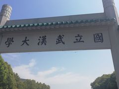 -武汉大学-樱园