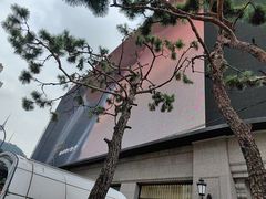 -新世界百货(明洞总店)