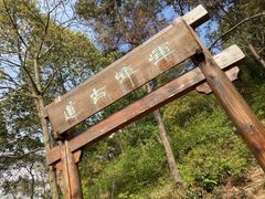 -龙寺生态园