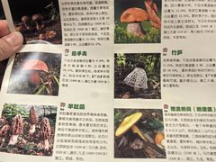 -太婆天府山珍酒楼(亚运村店)