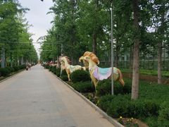 -南宫五洲植物乐园