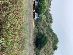 -紫海香堤香草艺术庄园