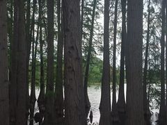 -东湖落雁景区