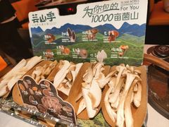 -芸山季·云南山珍菌火锅(人民广场来福士店)