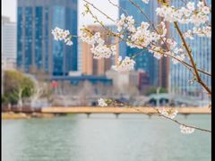 -后襄河公园