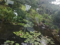 -雪绿茶博物馆