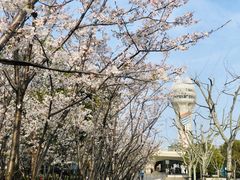 -龙美术馆西岸馆-停车场