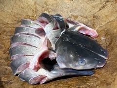 -云中鱼蒸汽石锅鱼(川沙百联店)