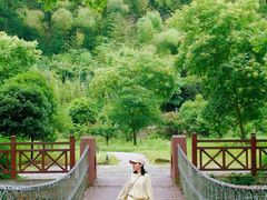 -素山寺森林公园